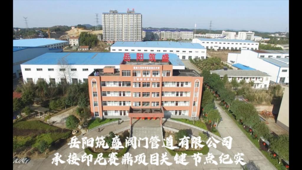 印尼項目紀(jì)實(shí)